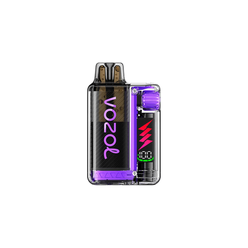 Vozol Vista Plug Blueberry Raspberry Lemon (10095905177934)